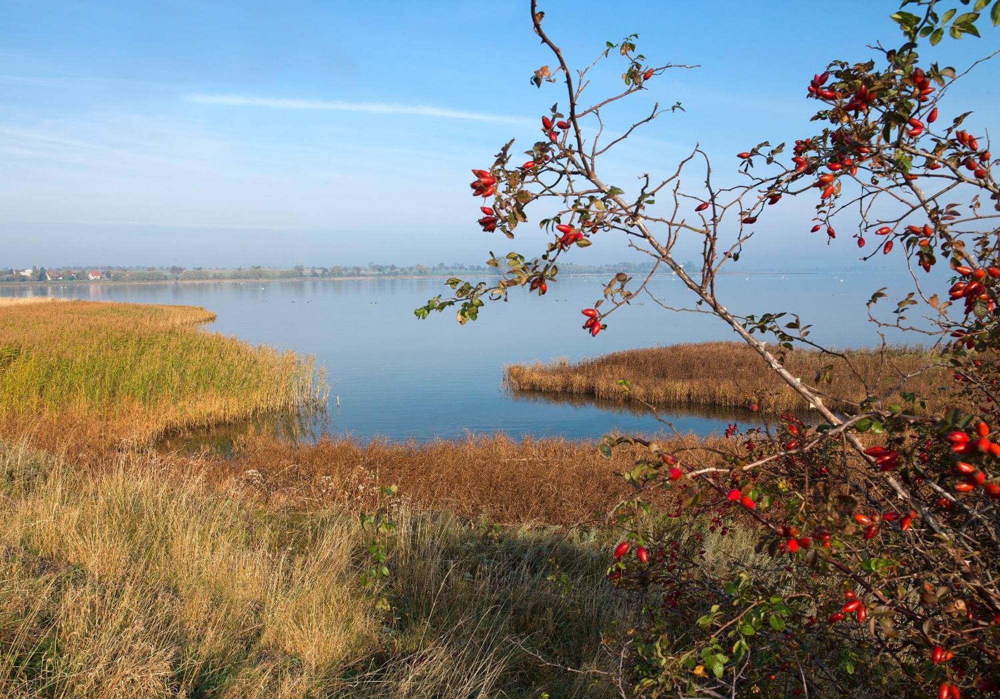 Seerose Insel Poel Exterior photo