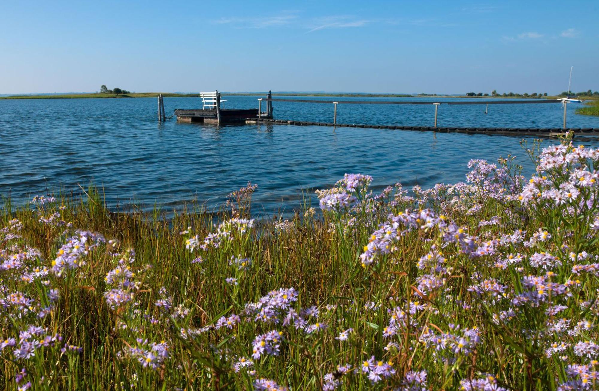 Seerose Insel Poel Exterior photo